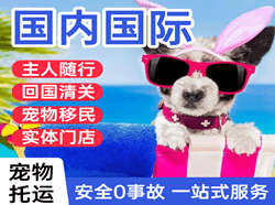 花果山航空物流国际宠物托运 【国